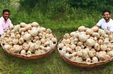 Mushroom Risotto Recipe | How To Make Perfect Mushroom Risotto | Italian Recipe by Grandpa Kitchen