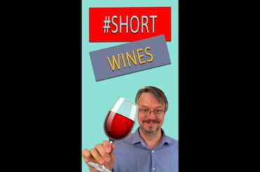 Zinfandel in 60 seconds | How to taste wine like a pro #Shorts