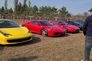 Ferraris at Alexis Bailey Winery