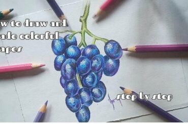 how to draw colorfull grapes step by step