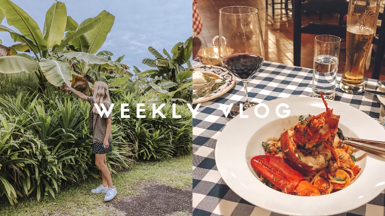 A week of new Singapore discoveries! Bollywood veggies + italian food heaven A week of new Singapore discoveries! Bollywood veggies + italian food heaven