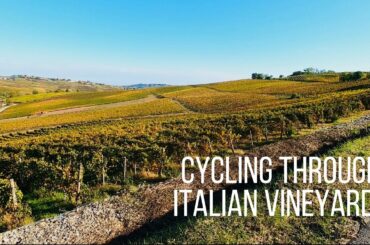 Cycling through Italian vineyards - Road cycling adventure in the Oltrepò Pavese area