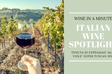 Italian Wine || Tenuta di Ceppaiano 'Alle Viole' Super Tuscan 2013