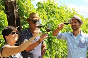 Alemat Wine history - Monferrato territory Piedmont region Italy