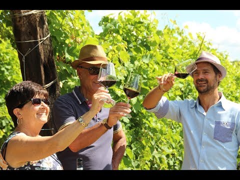 Alemat Wine history – Monferrato territory Piedmont region Italy Alemat Wine history - Monferrato territory Piedmont region Italy