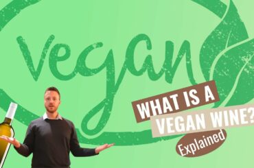 What Is A VEGAN WINE? Do you know how to understand if a wine is vegan?