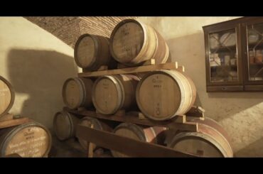 Tenuta Chianti - Family Wine Business in Chianti Classico