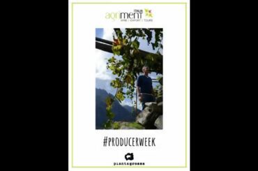 #ProducerWeek: The history of Georgos, wine of Piantagrossa