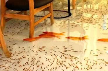 15 Craziest Restaurants That Actually Exist