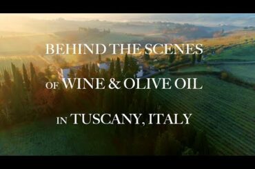 TUSCAN GRAPE & OLIVE HARVEST: Behind the Scenes of Wine and Olive Oil in Tuscany, Italy