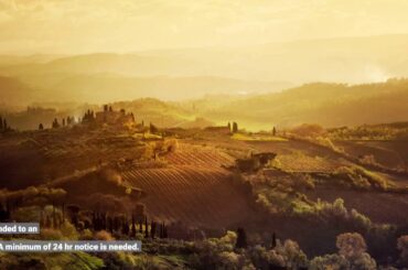 A Biased View of Guided Wine Tours Tuscany - Grape Tours - Italy