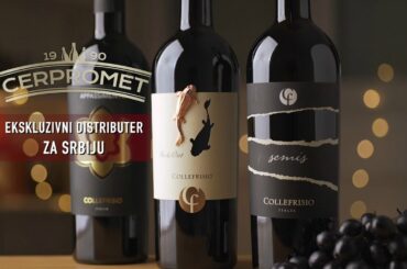 Semis Collefrisio Italy wine b-roll