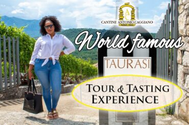 TAURASI WINERY TOUR | DURING COVID-19