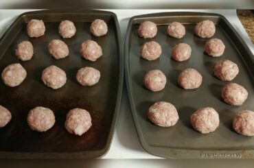 Sunflower Quest: Eggless Italian Meatballs Recipe - Troppello's Kitchen Ep. 2