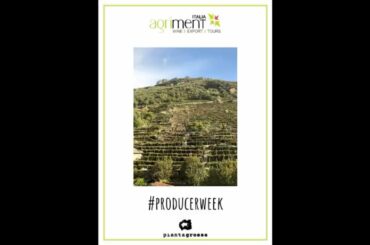 #ProducerWeek: Piantagrossa winery, Arabic Wine Tasting