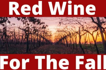 Wines For The Fall: Part 4 of 5