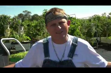 Benedetto's Italian Restaurant  "Farm Fresh"