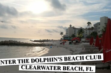 Winter the Dolphin's Beach Club Hotel