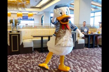 Hollywood Studios and Topolino's Terrace!