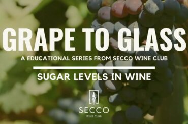 SUGAR LEVELS IN WINE || SECCO WINE CLUB