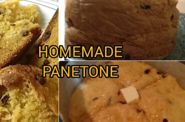 HOW TO MAKE PANETONE BREAD ITALIAN PANETONE HOW TO MAKE PANETONE AT HOME VERY YUMMY RECIPE