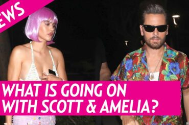 Scott Disick and Amelia Hamlin Enjoy Dinner Together After Halloween Date