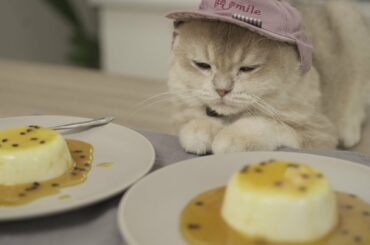 Easy Italian Yogurt Panna Cotta with Passion Fruit Sauce Recipe | ASMR Cooking With Tira’s Home