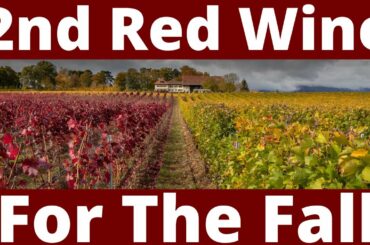 Wines For The Fall: Part 5 of 5