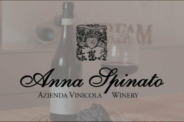 Malanotte del Piave DOCG - wine spot