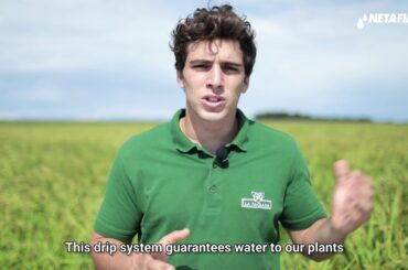 Netafim's Drip Rice Pioneers in Italy