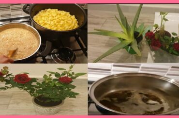 My first  vlog  amazing  day cooking  and  how to plant #Beautiful life EU Italy