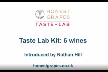 Honest Grapes Taste Lab Kit: 6 wines