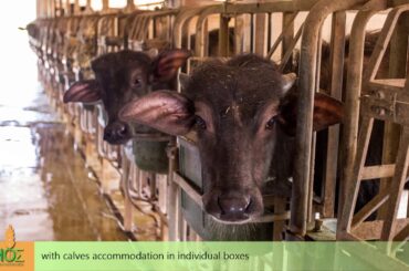 1 Ethical Behavior Italian Food Art