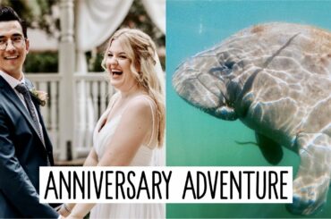 Swimming with Manatees & Topolino's Terrace! | Our First Wedding Anniversary!