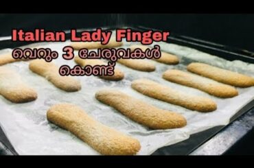 How To Make Italian Ladyfingers Biscuit|Tiramisu Cookies Recipe In Malayalam|Malabar tastes