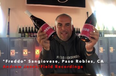 "Freddo" Sangiovese Tasting w/ Winemaker Andrew Jones