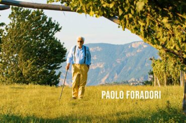 Pioneers of Winemaking in Alto Adige - Paolo Foradori