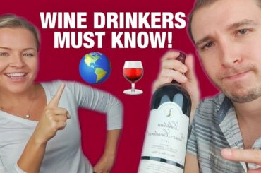 Old World Wine vs  New World Wine | TOP 3 DIFFERENCES Between Old World Wine and New World Wine