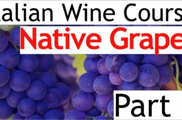 Italian Wine Course Part 6: Native Grapes