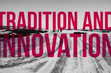 The Soul of Italian Wine - Alessandro Berselli