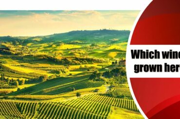 Which wine is grown here? (Piedmont)