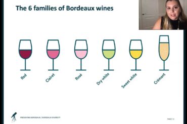The Red Wines of Bordeaux Webinar