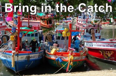 Thailand Fisherman unloading and selling there catch to local restaurants.