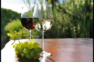 Thanksgiving Wine Tasting