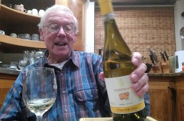 Christmas wines 1: Two dry whites, from South Africa and Italy