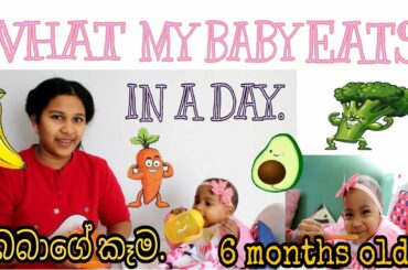 WHAT MY BABY EATS IN A DAY/6 MONTHS OLD/SINHALA/ITALY/SRI LANKA