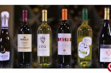 Your Pie Peachtree City & LaGrange (New - Imported Italian Wines)