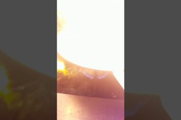 food italiano pizza and pasta