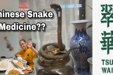 Tsui Wah Restaurant Dinner + We Saw A Snake Oil Chinese Medicine | HongKong