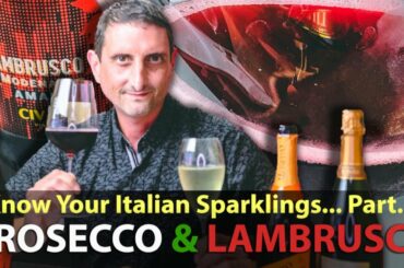 Prosecco & Lambrusco, Best-Selling Italian Sparkling Wines | "The Fine Bubblies of Italy" Part.1